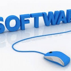 E. Software